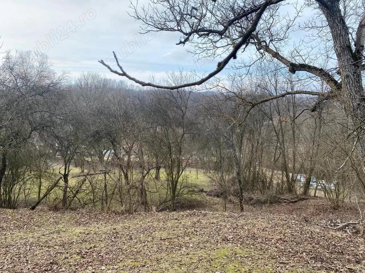 Vanzare casa si teren comuna Valea Lunga - Cricov, jud. Dambovi?a - 8