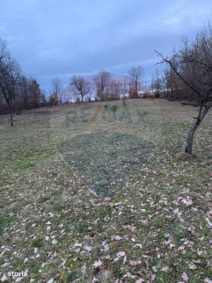 Teren intravilan cu priveliste de vanzare in Rus - 6