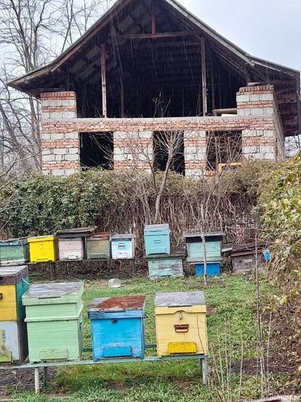 Vand constructie in zona montana ,Corbi ,jud Ag.Facilitati,apa curent ,gaze naturale ,asfalt la poar - 1