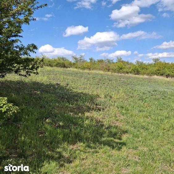 Teren Intravilan Oradea 1000 m2 Zona Nicolae Beldiceanu - 1