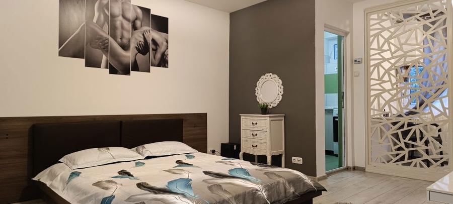 Garsoniera Parter de inchiriat - 4