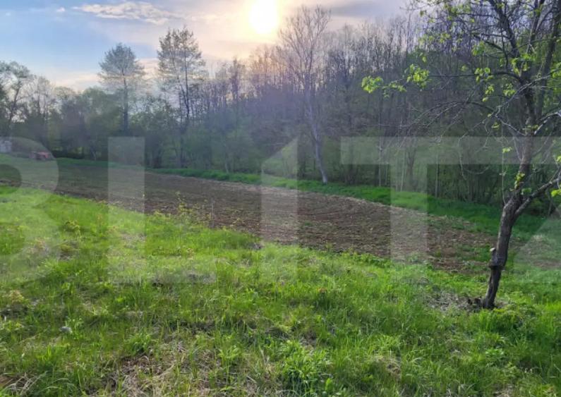 Teren 6650 mp, cu casa nefinalizata de 111 mp, in Nisipoasa - 14