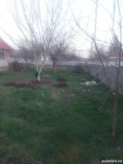 Casa cu gradina mare de inchiriat - 9