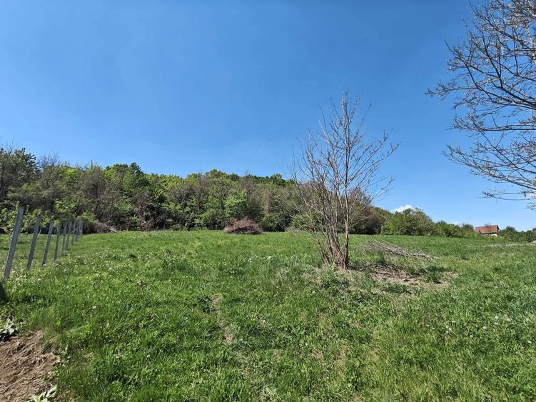 Teren intravilan 1400 m2 - la 10 minute (5 km) de centrul Targu Mures - 4