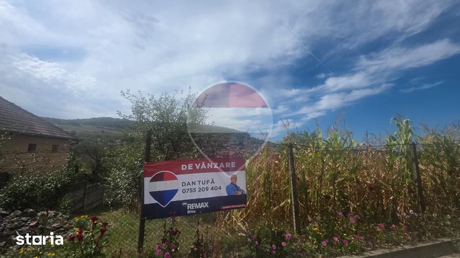Teren de 1103 mp, în Terezian