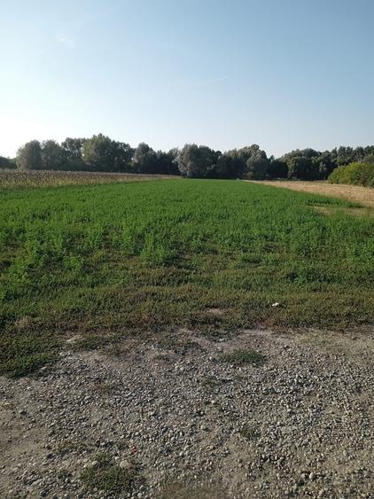 Comuna Tinosu, sat Predesti - 1