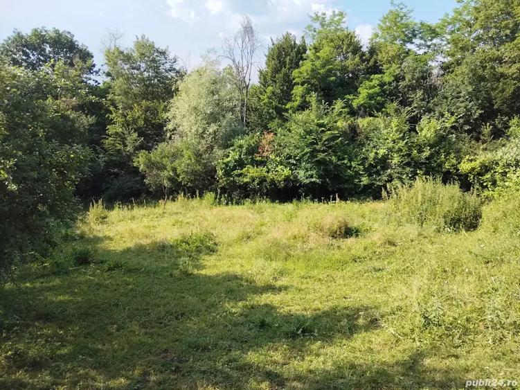 vand casa batraneasca - 3