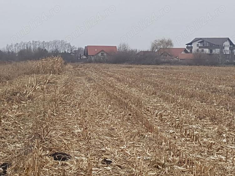 teren intravilan de vanzare - 3