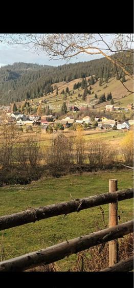 Teren comuna Carlibaba, jud. Suceava 8170mp - 2