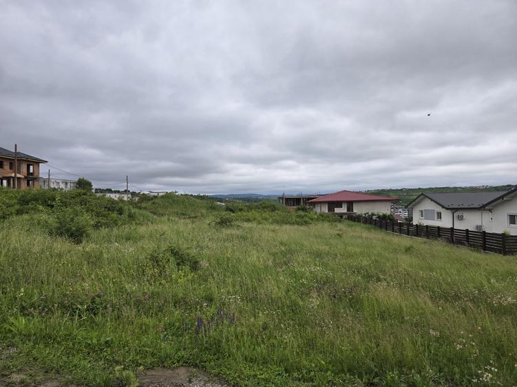 Teren de vanzare Visan Iasi - 1