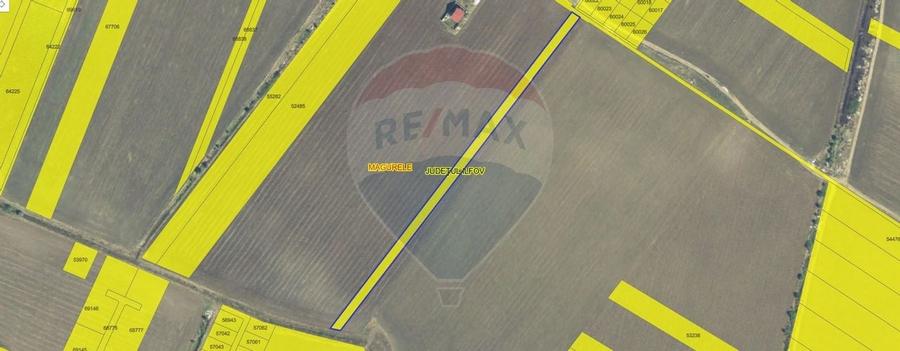 Teren Intravilan 4600mp in Magurele - 1