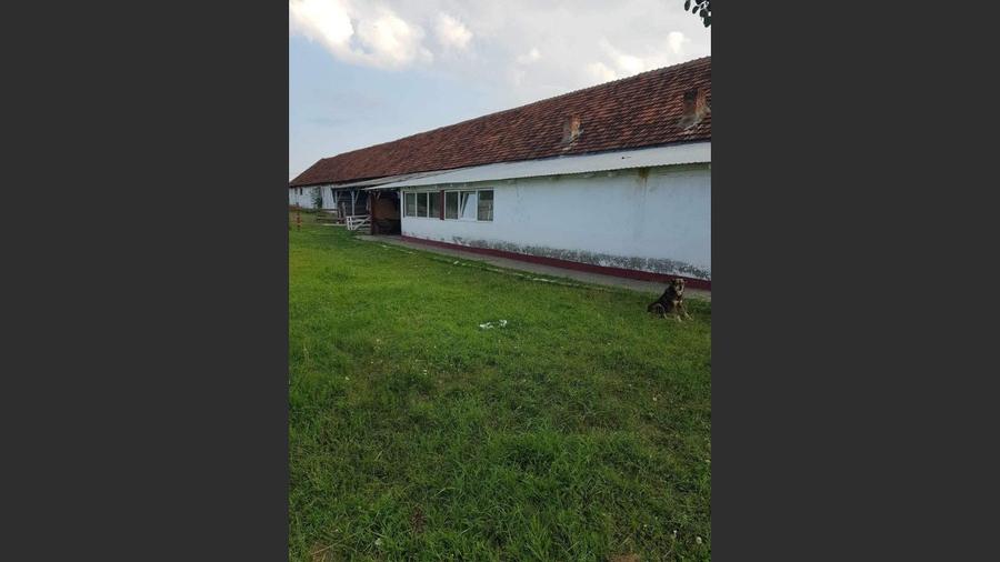 Ferma langa Oravita 5600 mp construiti si teren 24281 intravilan - 5