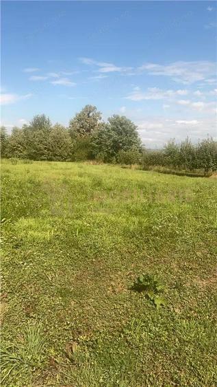 Teren intravilan 80 ari cu posibilitate de parcelare, Ardusat - 2