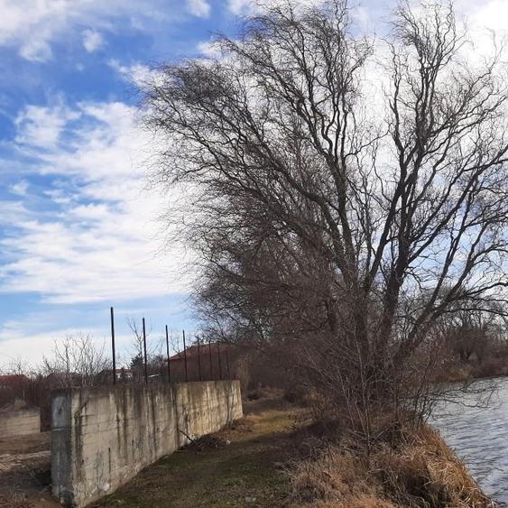 Teren de vanzare la Lac, Corbeanca - 8