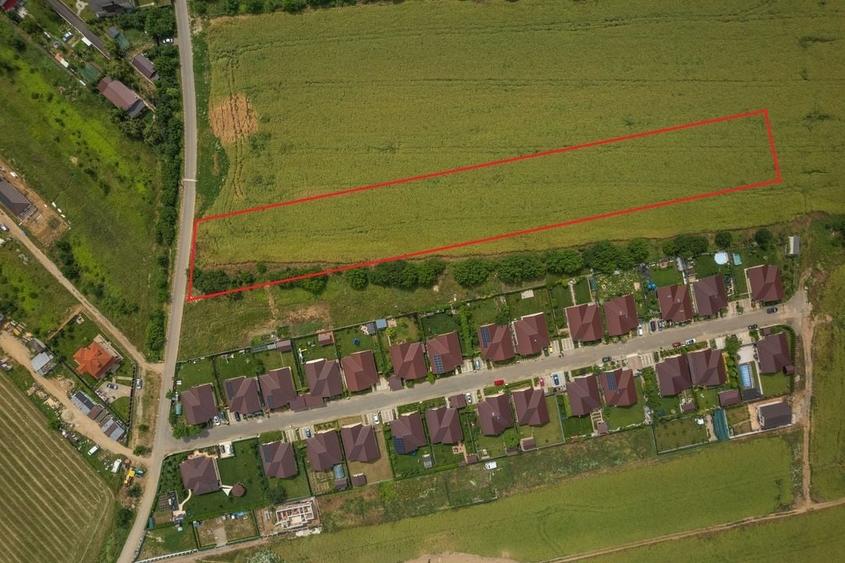 Teren intravilan, Balotești, Strada Cameliei 36, 10.000 mp - 8