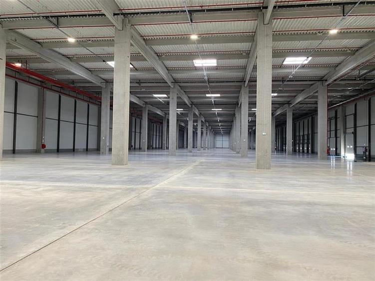 Inchiriere depozit/hala/spatiu industrial Chitila - Centura, Ilfov - 7