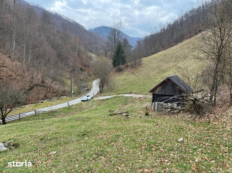 Teren de 12877 mp, în Bulz