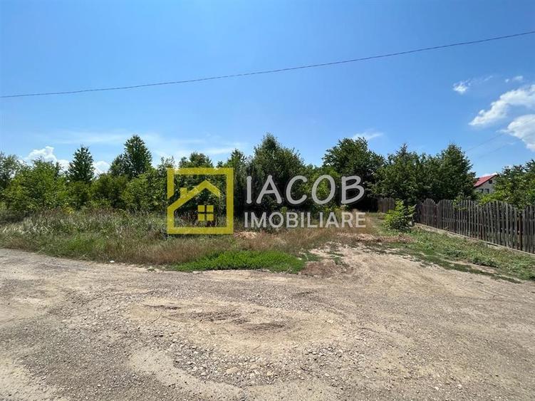 Teren Construcții intravilan de 5165 mp, în Narcisa