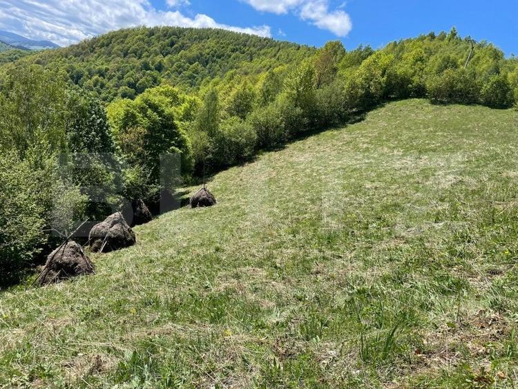 Teren agricol extravilan de 6000 mp, în Valea Ierii