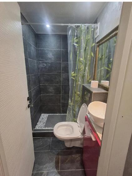 Apartament cu 2 camere decomandat în Moara de Vânt