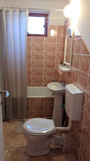 Apartament pe o strada linistita de case, zona Brancoveanu / Elisabetin - 7