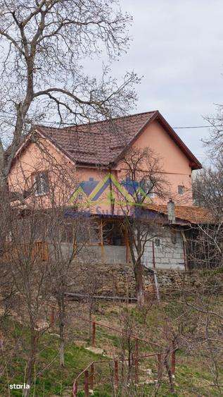 Casa de vanzare in Ghelari liniste, natura si spatiu generos! Schimb - 4
