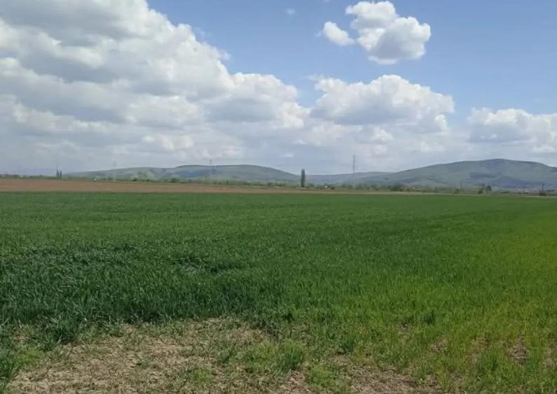 De vanzare teren extravilan langa drumul DN11 - 2