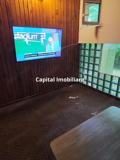 Vila superba 7 camere, Provita de Jos, 22.000 mp teren - 11