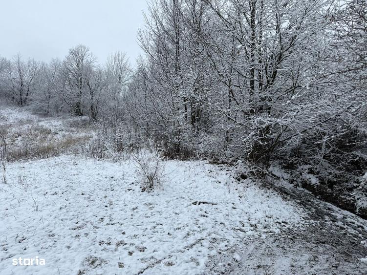 Provita de Jos - teren 3824mp - 18 Euro/mp Neg. - 2