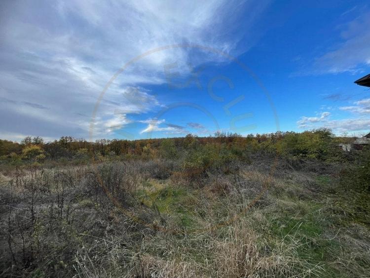 Teren in Mosoaia Arges - 5