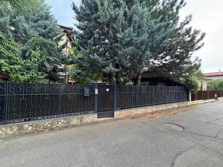 Vilă deosebită D+P+1E+P/ zona exclusivistă/Iancu Nicolae - 5