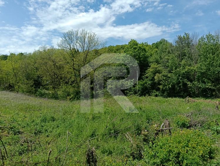 intravilan Tiparesti, relaxare aproape de padure - 1