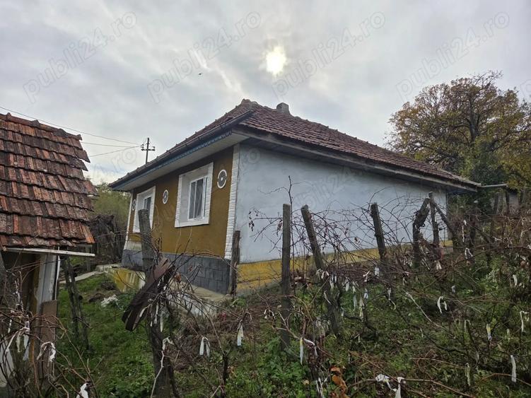 Vand casa si teren intravilan, Popesti, Vaslui - 9