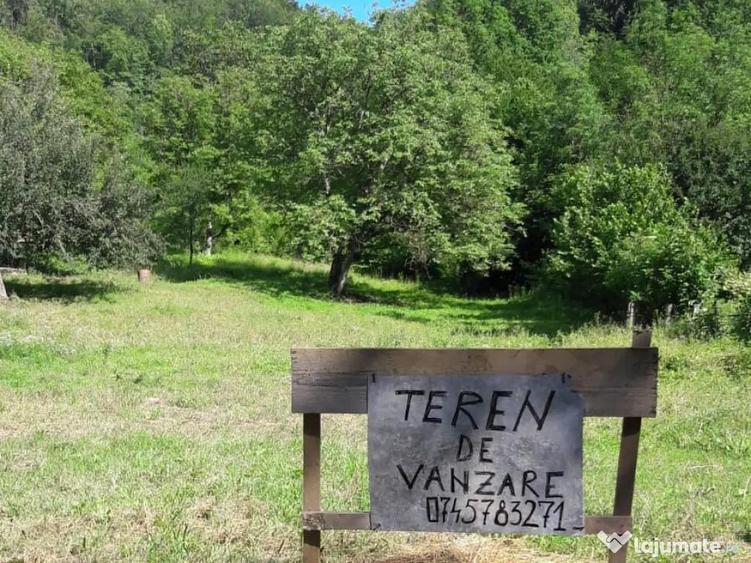 Vand Teren la poalele padurii - ideal casa de vacanta 3.300 mp - 5