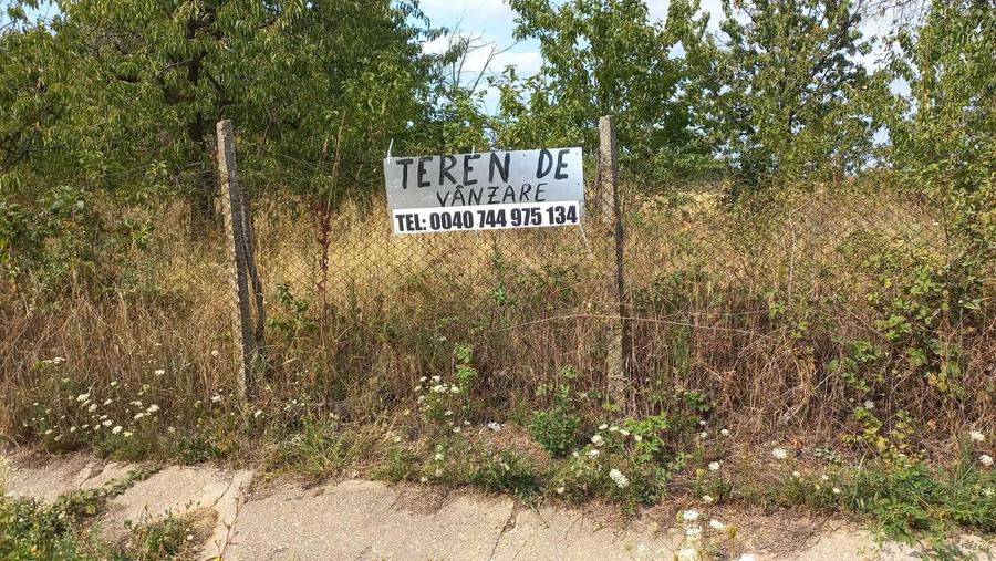 Vand teren in Sisterea, com. Cetariu, langa drum asfaltat, front 62ml - 1