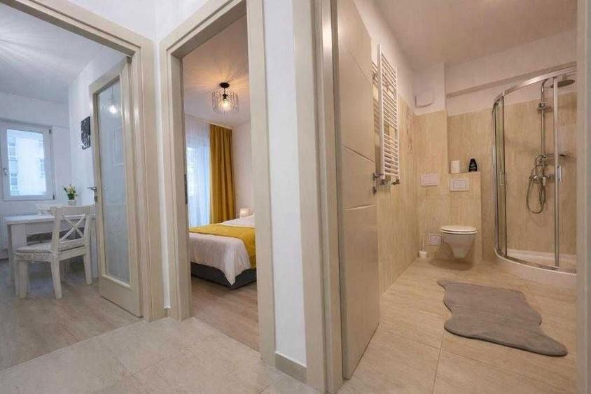 Inchiriez apartament 1 camera, studio, Podul Rosu, complet mobilat si utilat - 3