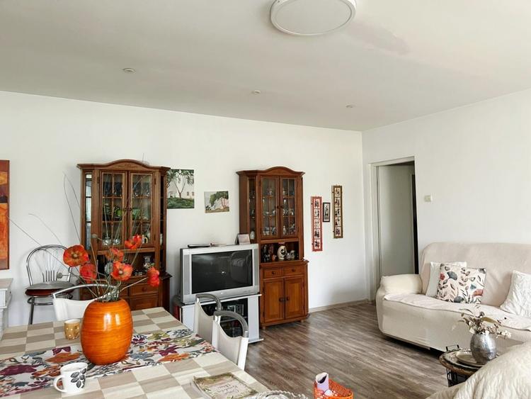 Casa cu suflet in centrul Medgidiei– gradina superba - 9