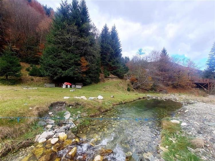 Teren intravilan panoramic 4.600mp,view iconic Piatra Craiului,oportunitate prem - 18
