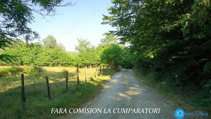 TEREN 6700 MP, INTRAVILAN LANGA PADURE - 12