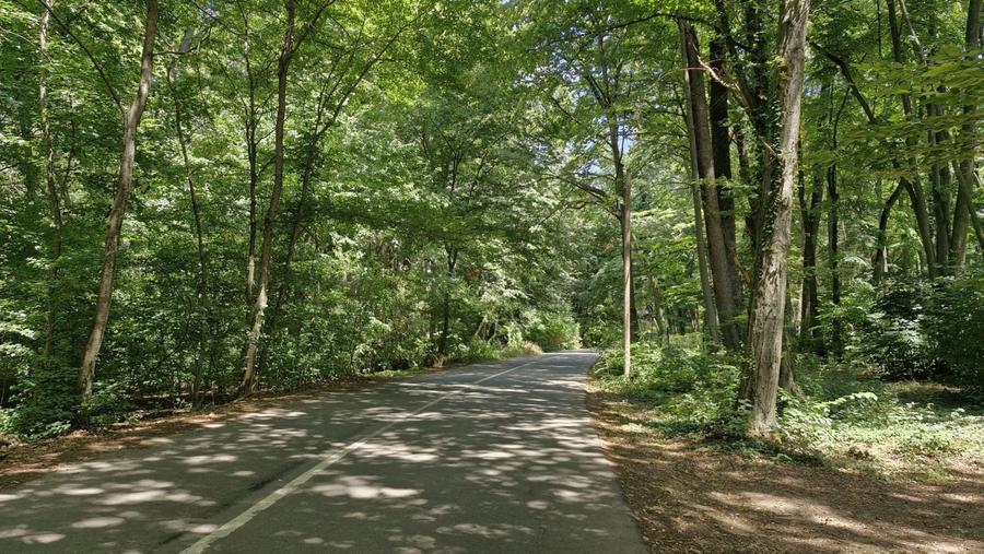 Teren intravilan | Snagov | Izvorani | 2800mp | Stradal - 3