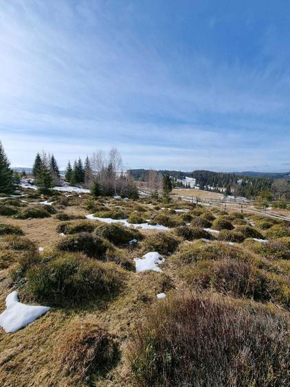 Vand Teren in sat Maguri, com. Maguri Racatau - 5