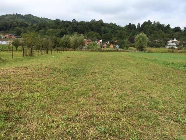 Teren intravilan Valea Lunga Cricov, jud Dambovita - 2