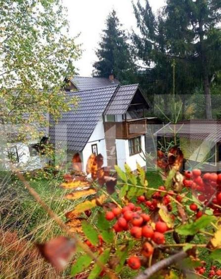 Cabana 8 camere, 450 mp, teren, 2200 mp, zona Garda de Sus - 2