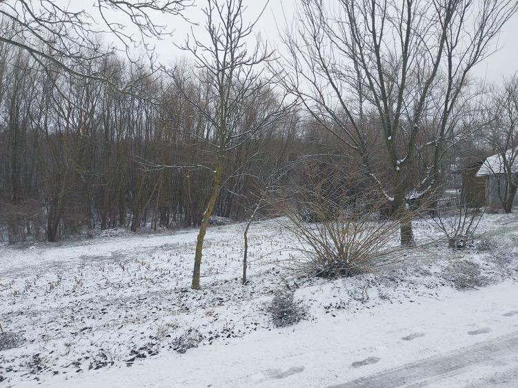 Vand lot de casa - 2