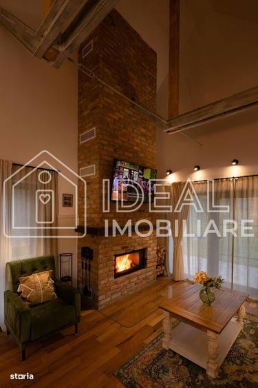 Casa deosebita de inchiriat in Cisnadioara, prima inchiriere - 12