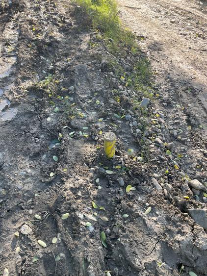 Teren si casa de vanzare in com. Ion Neculce sat Prigoreni - 8