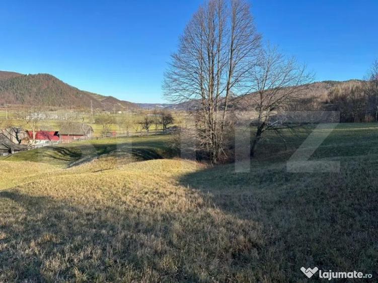 Teren intravilan, Buc?oaia - Frasin, 10000 mp - 1