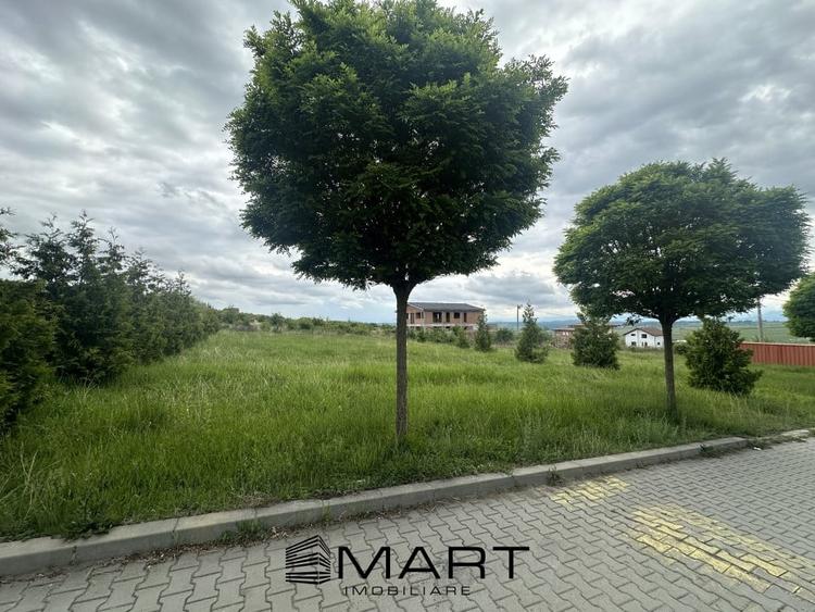 Teren intravilan 500mp cu utilitati si PUZ in Cartier Bavaria - 2