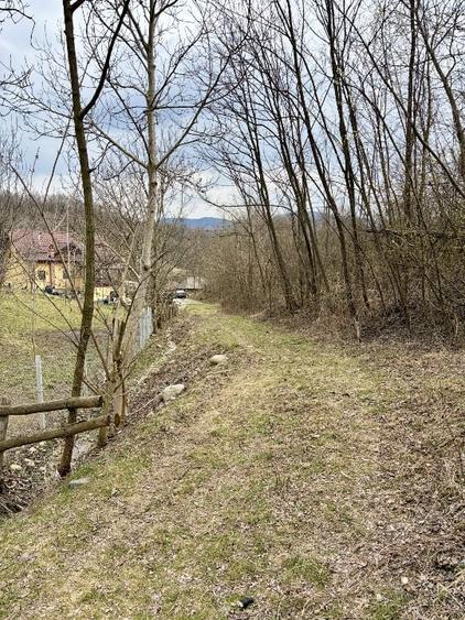 Teren Salatrucel Valcea intravilan cu curent 380V 3300mp+4200 faneata si padure - 8
