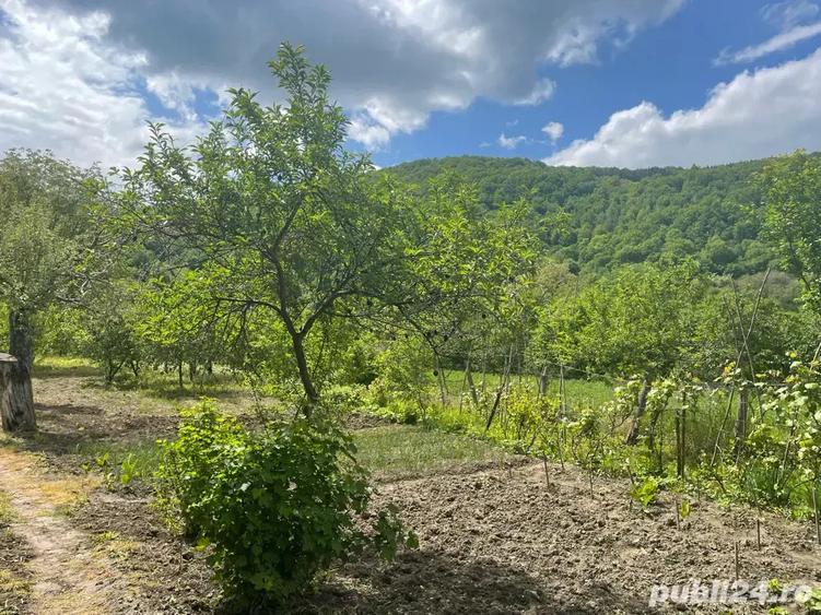 Vand casa + teren 2690 mp - 1